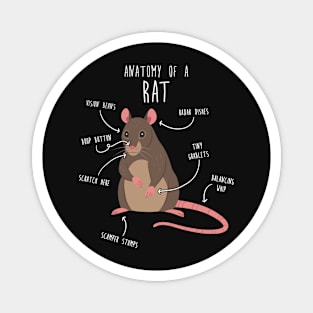 Rat Anatomy Magnet